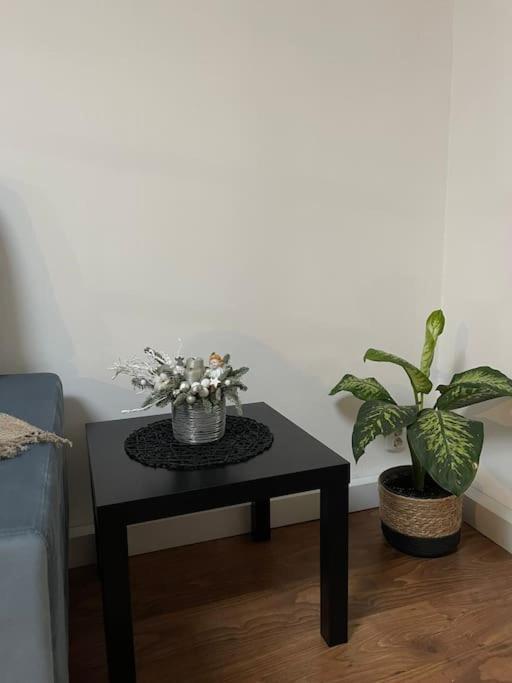 Apartament La Casa Timişoara Eksteriør bilde